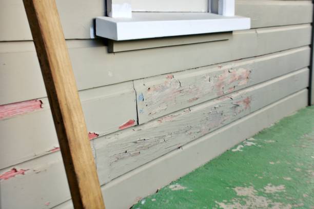 Best Historical Building Siding Restoration  in Rainbow Lakes, NJ